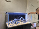創(chuàng  )星魚(yú)缸魚(yú)池過(guò)濾器變頻循環(huán)水泵過(guò)濾桶三合一超靜音系統全套CFZ系列 【適用80-160CM缸】變頻CFZ-2000 【強化版濾材】套裝 曬單實(shí)拍圖