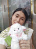 薇薇公主（weiweigongzhu）小羊玩偶公仔生日禮物送女孩女友兒童節(jié)禮物送女生毛絨玩具布娃娃 小羊公仔 22cm【送發(fā)卡+禮袋】 曬單實拍圖