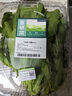 【富硒】茼蒿200g 曬單實(shí)拍圖