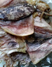 小海故事 淡干大號墨魚(yú)干 凈含量1斤約10-15只/袋 源頭直發(fā)烏賊干貨煲湯 曬單實(shí)拍圖