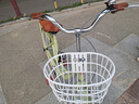 飛鴿（FLYING PIGEON）自行車成人通勤車自行車學(xué)生單車成人自行車通勤自行車女士自行車 標(biāo)配青青黃|單速|(zhì)輻條輪+禮包 26寸適合160-185cm 曬單實拍圖