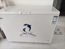 澳柯瑪（AUCMA）307升減霜冰柜家用大容量冷藏柜冷凍柜 臥式冷柜冰箱雪糕柜一級(jí)能效 BC/BD-307HNE 國(guó)家補(bǔ)貼20% 曬單實(shí)拍圖