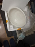 緯廷大湯碗家用純白瓷特大號湯盆酸菜魚(yú)碗大盆大碼陶瓷釉下彩青花湯碗 12英寸純白盆1個(gè) 曬單實(shí)拍圖