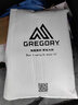 GREGORY格里高利 NANO蜂鳥(niǎo) 旅行男女戶(hù)外徒步背包登山包通勤雙肩包20L 20L-火焰綠 曬單實(shí)拍圖