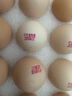 康咯咯康大可生食雞蛋無(wú)抗鮮雞蛋營(yíng)養(yǎng)雞蛋無(wú)沙門氏菌高品質(zhì)蛋單枚50g+ 【居家必備可生食】30枚  1.5kg+ 曬單實(shí)拍圖