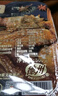 德州扒雞招牌公雞五香味脫骨燒雞中華老字號山東特產(chǎn)熟食500g 曬單實拍圖