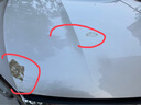 智騁補漆筆汽車專用珍珠白修復神器點漆筆比亞迪秦漢宋plusdmi雪域白 曬單實拍圖