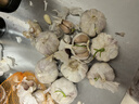 京鮮生 山東 大蒜 蒜頭 1.5斤 新鮮蔬菜 曬單實(shí)拍圖