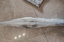 臻佑（Grsaed）釣魚抄網(wǎng)2.9米加厚不銹鋼可伸縮抄網(wǎng)桿撈魚網(wǎng)兜涂膠抄網(wǎng)頭套裝 曬單實拍圖