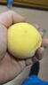 【順豐/中/圓通】黃油蟠桃當季應季桃子無毛脆甜新鮮水果軟硬兩吃 黃油彩虹蟠桃凈重4.5斤 順豐包郵 曬單實拍圖