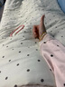 南極人水洗棉床上用品四件套公主少女四季通用床單被罩200x230cm床笠款 蕾絲小花邊-粉白波點(diǎn) 1.8m 床單款 四件套-被套180*220cm 曬單實(shí)拍圖
