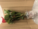 紅掌盆栽白粉掌一帆風(fēng)順帶花特大號(hào)花卉室內(nèi)客廳面水培植物好養(yǎng) 約30cm紅掌+圓球玻璃瓶 帶盆栽好 曬單實(shí)拍圖