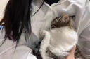 貓咪快速睡覺鎮(zhèn)定劑狗狗瞌睡藥安撫寵物情緒救助流浪寵物 1瓶【防應(yīng)激】 曬單實(shí)拍圖