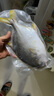 翔泰 海南金鯧魚(yú)凈重900g 2條裝  魚(yú)類(lèi)生鮮 火鍋食材 海鮮水產(chǎn) 中秋 曬單實(shí)拍圖