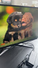 AOC【爆售60W+臺】27英寸2K 原生180Hz IPS HDR400 1ms 10Bit 滿(mǎn)血小金剛MAX 游戲電競顯示器Q27G2S/D 曬單實(shí)拍圖