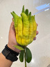 SENMA森馬男鞋夏季百搭休閑薄款網(wǎng)面透氣老爹鞋青少年跑步運(yùn)動(dòng)軟底襪子潮鞋 黑色 （升級(jí)款） 42 曬單實(shí)拍圖