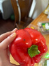 三色彩椒組合600g 曬單實(shí)拍圖