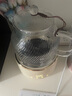 World Kitchen康寧養生壺全玻璃恒溫壺煮茶壺煮茶器1L辦公室家用花茶壺燒水壺電熱水壺（升級標準款+全玻璃蓋） 曬單實(shí)拍圖