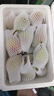 澤華果品煙臺(tái)太婆梨 山東梨子啤梨香蕉梨 當(dāng)季新鮮水果整箱 太婆梨4.5-5斤單果90g+ 曬單實(shí)拍圖