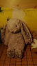 Jellycat花布邦尼兔動(dòng)物毛絨玩偶兔子玩偶兒童禮物娃娃生日七夕情人節(jié)禮物 布絡(luò)木（銀色） Medium 曬單實(shí)拍圖