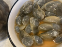 昌鮮園黃泥螺寧波特產(chǎn)醉泥螺即食罐裝特大泥螺新鮮腌制海鮮速食無沙泥螺 【大號推薦/1瓶】寧波泥螺 300g 曬單實拍圖