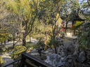 拜滅士呋蟲(chóng)胺殺蟲(chóng)劑噴霧蟑螂藥衣魚(yú)蟲(chóng)下水道去除小飛蟲(chóng)嬰寵無(wú)憂(yōu)330ml*2 曬單實(shí)拍圖