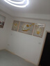 昊聰客廳裝飾畫(huà)新款輕奢高檔羽毛沙發(fā)背景墻掛畫(huà)寓意好大氣三聯(lián)畫(huà) 金枝玉葉 【左右60X80+中間110X80】 晶鉆+金鋁合金框【黑框請備注】 曬單實(shí)拍圖