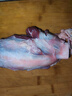 恒都 國(guó)產(chǎn)原切牛腱子肉 2斤 冷凍 不含腱子芯 谷飼牛肉 曬單實(shí)拍圖