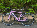 坎普（CAMP）RADON 公路車(chē)鋁合金順泰18變速單車(chē)圈剎運動(dòng)賽車(chē)碳纖維前叉自行車(chē) 粉色 18速 480碼 曬單實(shí)拍圖