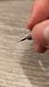 紅環(huán)（rotring） 熱門(mén)商品800自動(dòng)鉛筆金屬筆身專(zhuān)業(yè)繪圖制圖建筑師設計師書(shū)寫(xiě)工具漫畫(huà)鉛筆文具禮盒裝 800自動(dòng)鉛筆;銀色0.7mm（單支） 曬單實(shí)拍圖