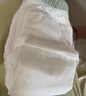 名典泰迪山茶花拉拉褲XXL72片【29-34斤】嬰兒尿不濕超薄透氣尿褲男女通用 曬單實拍圖