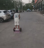九號（Ninebot）電動平衡車小九米Mini成年人電動車代步腿控智能兩輪大人非燃動版Plus長續(xù)航 曬單實拍圖