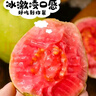 京源采紅心軟芭樂新鮮水果番石榴應(yīng)季低糖孕婦生鮮禮品單果130g+ 【順豐】廣東紅心芭樂凈重4.5斤 曬單實拍圖