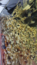HANYANG魚(yú)缸溪流石溪流缸底砂造景底沙子水草裝飾雨林缸鋪底石頭子2kg 曬單實(shí)拍圖