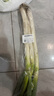 【產(chǎn)地直采】大蔥約450g 曬單實拍圖