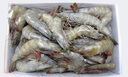 賣(mài)魚(yú)郎先生青島鹽凍大蝦凈重3.6斤 20-25只/斤 白蝦基圍蝦生鮮 蝦類(lèi) 曬單實(shí)拍圖