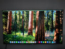 Apple/蘋(píng)果AI電腦/Mac mini迷你主機 M4銀色(10+10核) 16G 256G臺式電腦主機 MU9D3CH/A 曬單實(shí)拍圖