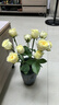 愛普生C13S015583原裝色帶(色帶架含芯)黑色單支裝(適用于LQ-610KII/615KII/630KII等)色帶架:13mm*14m 曬單實(shí)拍圖