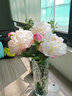 芍藥牡丹仿真花束2頭高檔餐桌家居裝飾花藝擺件攝影道具高級感 白色牡丹芍藥~可水洗 3支 曬單實(shí)拍圖
