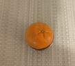 京鮮生 南非進口小蜜橘/蜜桔3斤裝 單果40g起 柑橘桔子 新鮮水果 曬單實拍圖