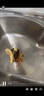 杜邦（DUPONT）美國(guó)杜邦E7智能廚房垃圾處理器家用廚房水槽粉碎機(jī)自動(dòng)進(jìn)水關(guān)水 紅色 曬單實(shí)拍圖