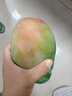 【新鮮上市】正宗攀枝花凱特芒果新鮮水果 帶箱2斤200g+ 曬單實(shí)拍圖