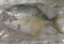 翔泰海南深海金鯧魚700g 2條 燒烤 火鍋 生鮮魚類 BAP認證 海鮮水產(chǎn) 曬單實拍圖