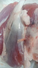 【順豐發(fā)貨】新鮮豬腱肉黑土豬腱子肉豬后腿肉后腿瘦肉生豬肉 凈重5斤豬腱子(優(yōu)選精品) 曬單實拍圖
