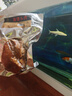 奇香源 1887香鹵豬頭肉420g 熟食臘味即食扒豬臉肉鹵味速食下酒菜量販裝 醬豬頭肉420g*1包 曬單實(shí)拍圖