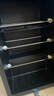 新飛（frestec）冰吧冷藏柜 歐式恒溫紅酒柜酒店家用電冰箱迷你小型單門辦公室保鮮展示留樣茶葉飲料藥品柜 118升黑內(nèi)膽【冷藏+微冷凍+帶燈+帶鎖】 曬單實(shí)拍圖