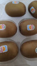 佳沛（zespri）新西蘭  陽光金奇異果10粒禮盒巨大果單果約144-175g 水果 獼猴桃 曬單實拍圖