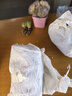 多肉植物小盆栽批發(fā)套裝多肉組合桃蛋玉露綠植花卉桌面陽(yáng)臺(tái)辦公桌 寶蓮燈【5-6厘米】塑料盆栽好 曬單實(shí)拍圖