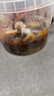 麥斯卡（Mesuca）兒童籃球5號青少年兒童玩具幼兒園拍拍球3-6歲小皮球-酷洛米 曬單實(shí)拍圖