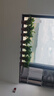 綠有意綠蘿盆栽除甲醛室內(nèi)好養(yǎng)花卉植物綠蘿批發(fā)辦公室新房裝修凈化空氣 110#原盆儲(chǔ)水盆10盆裝+4肥 帶盆帶土發(fā)貨 曬單實(shí)拍圖